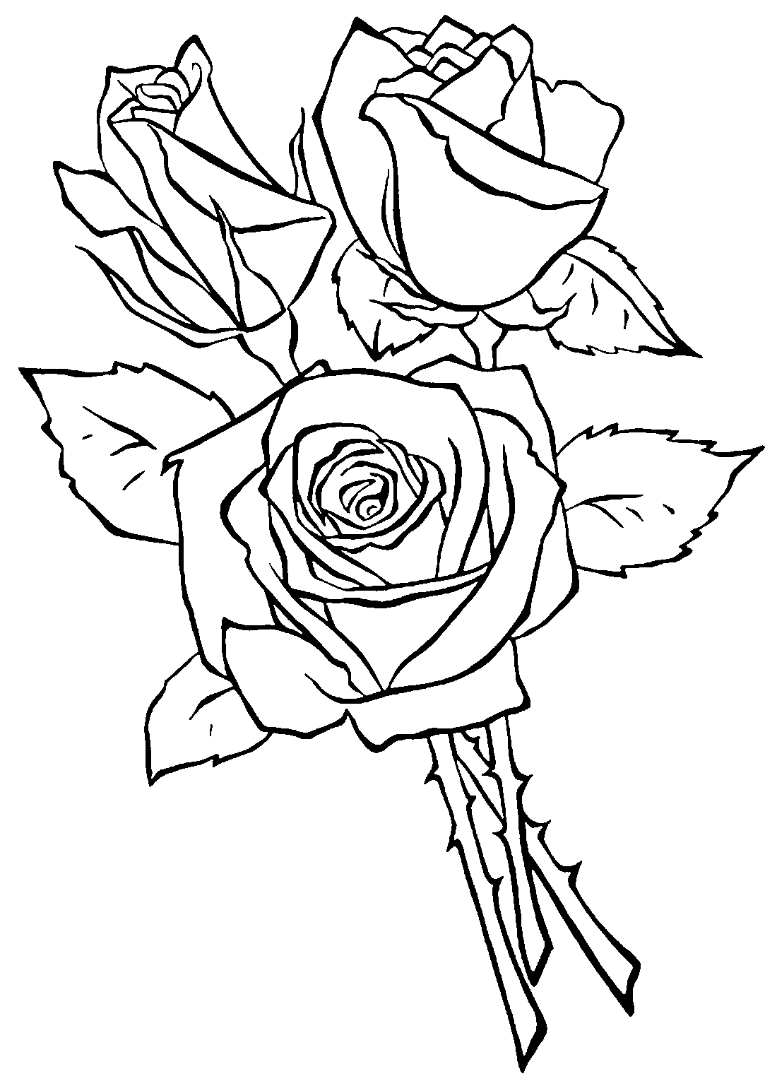 Три розы  раскраска №9411  printonicru