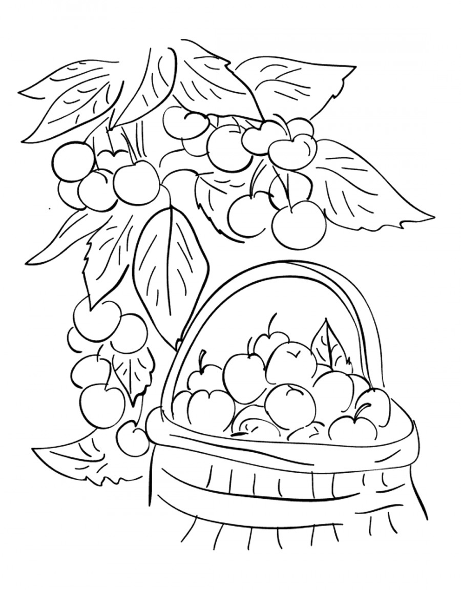 Ягоды и яблоки - раскраска №13542