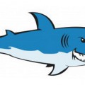 Рисунок злой акулы - картинка №8555