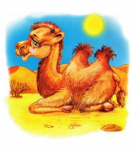 Верблюжонок - картинка					№11692