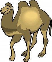 Рисунок с верблюдом - картинка					№8636