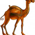 Стройный верблюд - картинка №12531