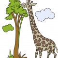 Жираф ест дерево - картинка №10966
