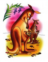 Молодой кенгуру с дитенышем - картинка					№7498