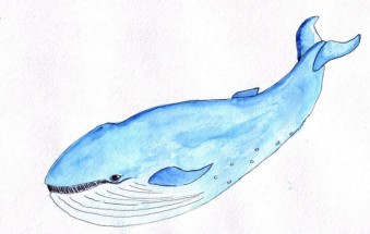 Голубой кит - картинка					№10919