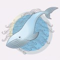 Красивый кит - картинка №10337