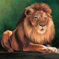 Великолепный лев - картинка №5705