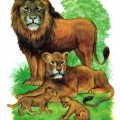 Львиное семейство - картинка №11527