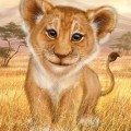 Молодой лев в джунглях - картинка №11315