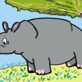 Носорог обычный - картинка №10048