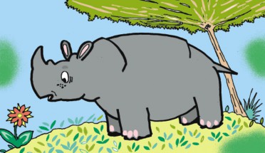 Носорог обычный - картинка					№10048