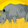 Носорог в саванне - картинка №6598