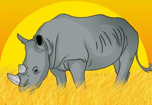 Носорог в саванне - картинка					№6598
