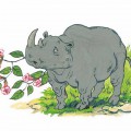 Носорог и цветы - картинка №13863