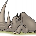 Носорог отдыхает - картинка №12176