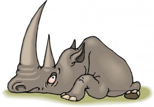Носорог отдыхает - картинка					№12176