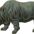 Носорог среднего возраста - картинка №13123