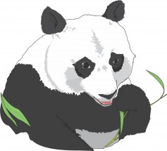 Голова панды - картинка					№5794