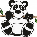 Панда на ветке - картинка №13382