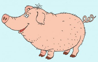 Мохнатая свинка - картинка					№12880