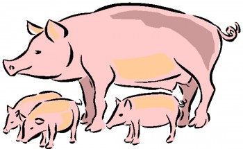 Рисунок свинок - картинка					№6585