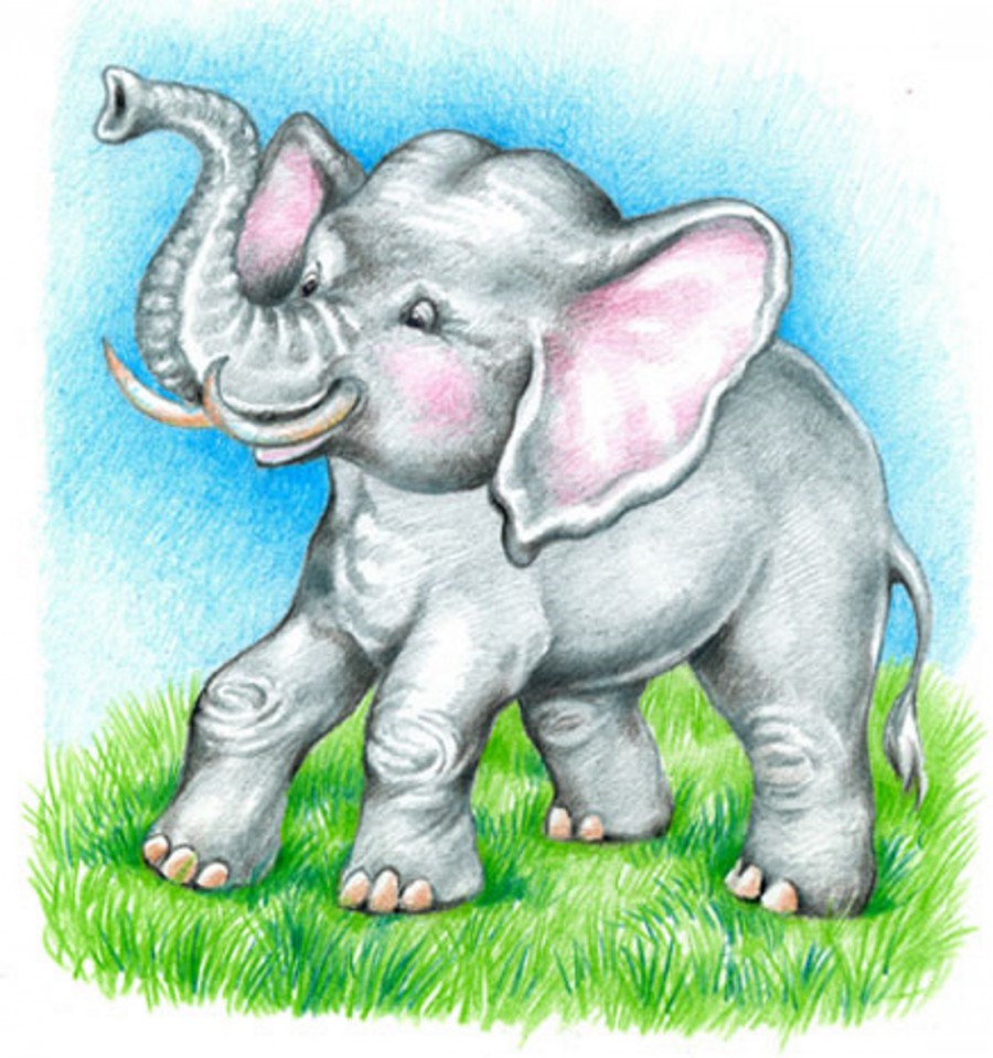 Слон на траве - картинка №12836