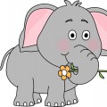 Слон с цветком - картинка №7534