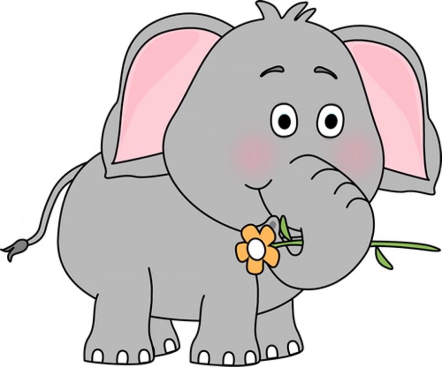 Слон с цветком - картинка №7534