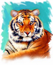 Портрет тигра - картинка					№12480