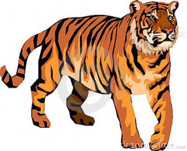 Рыжий тигр - картинка					№12712