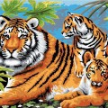 Семья тигров - картинка №11605