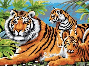 Семья тигров - картинка					№11605
