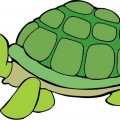 Картинка черепаха - картинка №7490