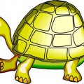 Рисунок черепахи - картинка №11675