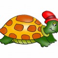 Черепаха в красной шапке - картинка №11488