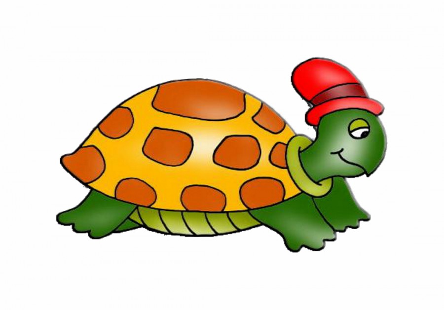 Черепаха в красной шапке - картинка №11488