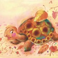 Черепаха красивая - картинка №13653