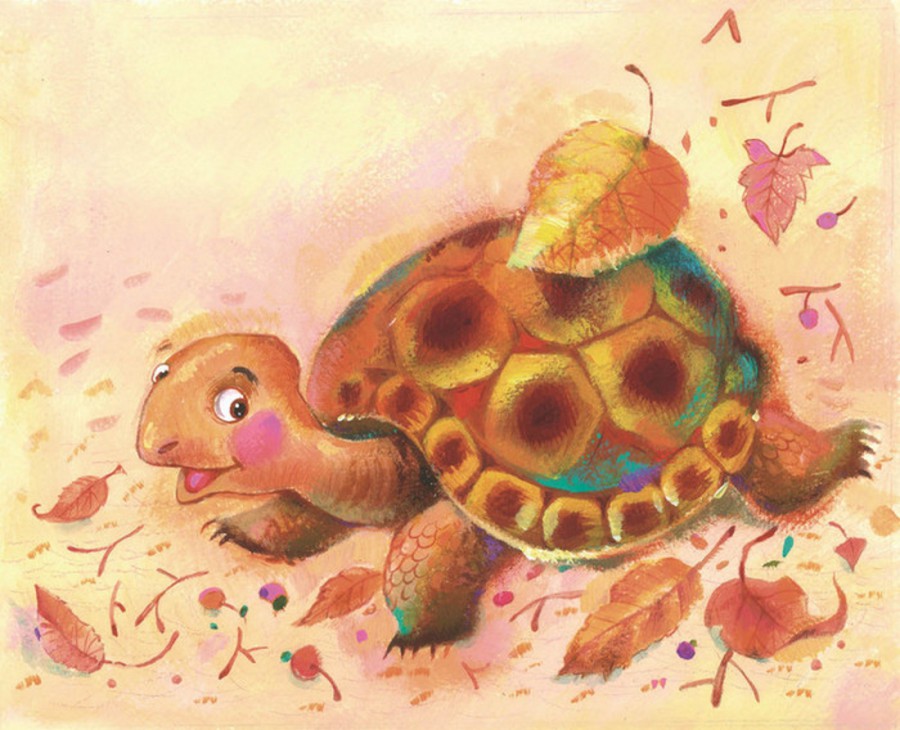 Черепаха красивая - картинка №13653