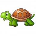 Черепаха - картинка №10496