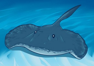 Большой синий морской скат - картинка					№6034