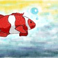 Рыба клоун плывет под водой - картинка №10301