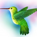Зеленая колибри - картинка №7492