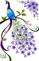 Павлин и лиловые цветы - картинка					№13254