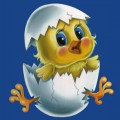 Новорожденный цыпленок в яйце - картинка №10713
