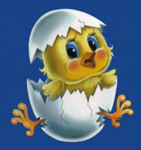 Новорожденный цыпленок в яйце - картинка					№10713