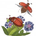 Майские жуки - картинка №8602