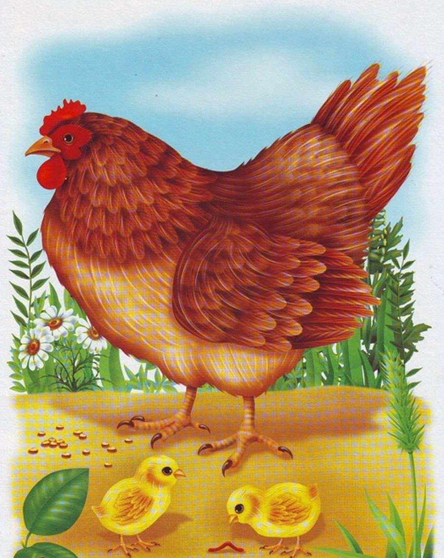 Важная курица - картинка №6677