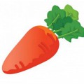 Короткая морковка - картинка №11948