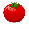 Блестящий помидор - картинка №6904