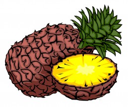 Коричневый ананас - картинка					№13265